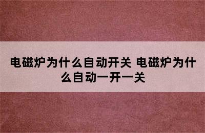 电磁炉为什么自动开关 电磁炉为什么自动一开一关